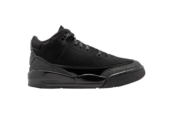 Air Jordan 3 Black Cat