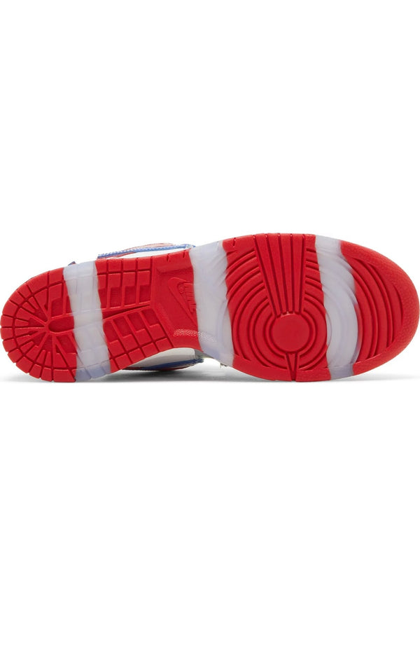 Nike dunk low sb Ebay Sandy Bodecker