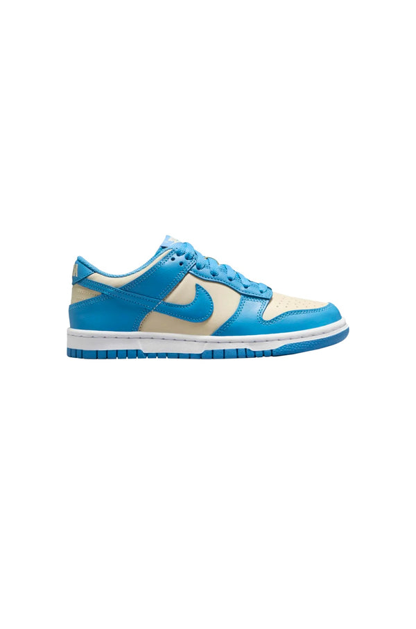 Dunk unc grey