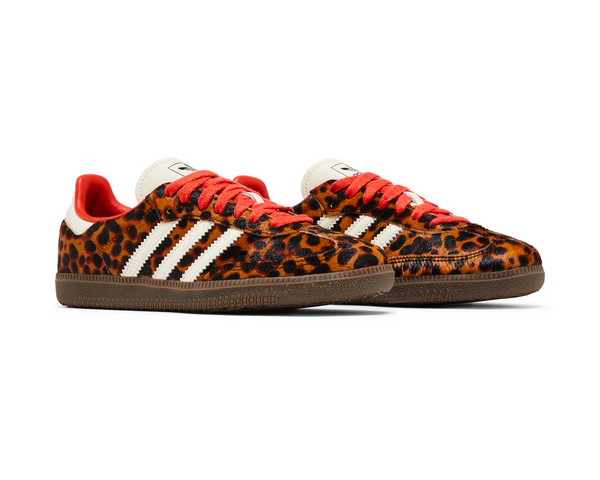 Adidas samba og leopard