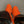 Nike Nocta Hot Step 2 Orange