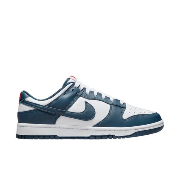 Nike Dunk Low Valerian Blue