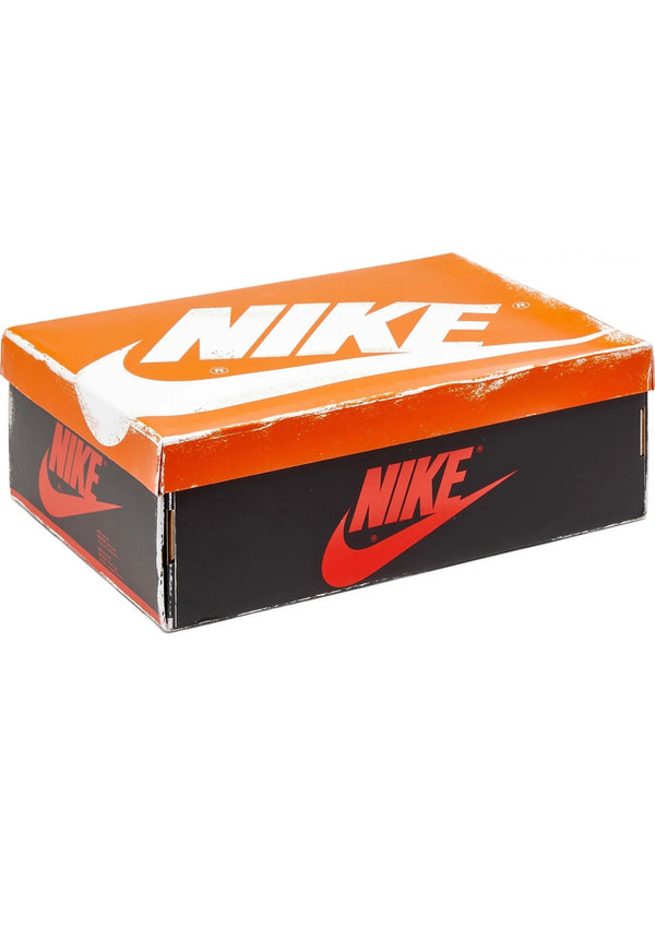 Jordan 1 High Lost & Found